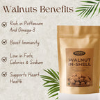 Walnut Inshell (Akhrot)