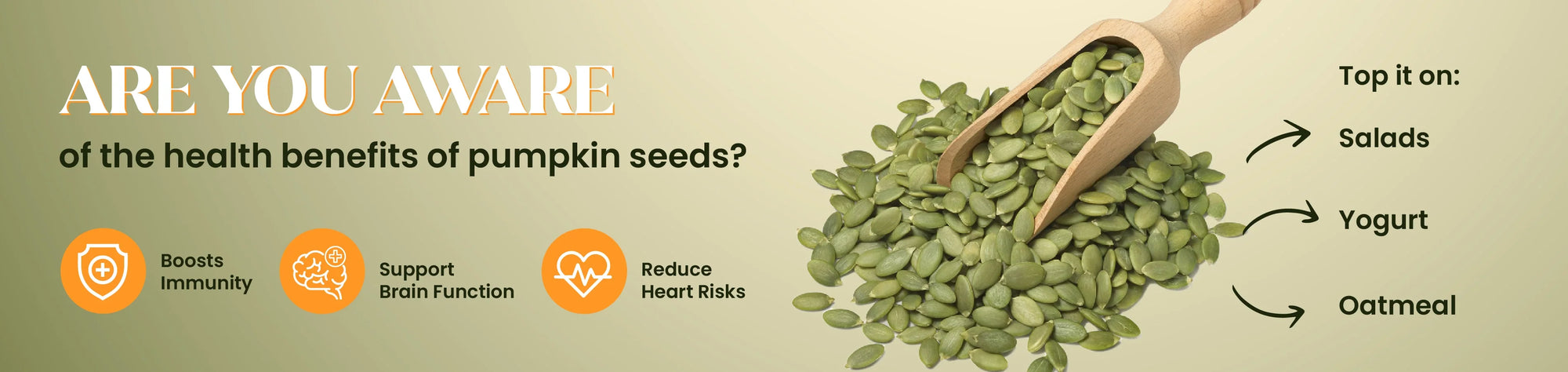 Pumpkin Seeds banner